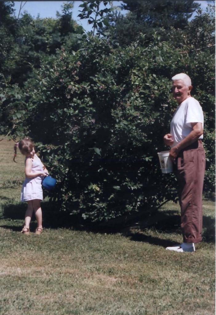 Papa and Liz picking Blueberries